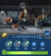 シノサウロ JWA 2