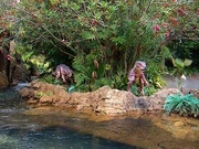 プシッタコ ザライド