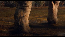 Изображение  , сидящей на ноге титанозавра 