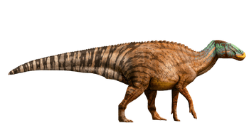 Edmontosaurus