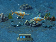 Level 30 Ophthalmosaurus