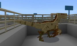 Pluma Raptor(526x315) jwDLC