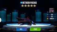 Level 31 Metriorhynchus