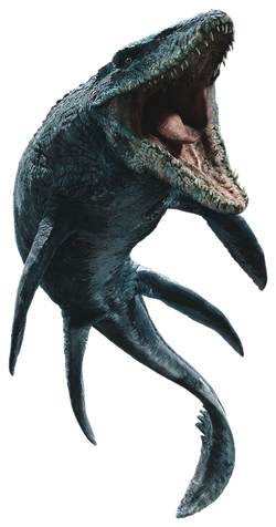 Mosasaurus — Wikipédia