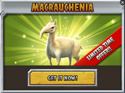 Macrauchenia Promo