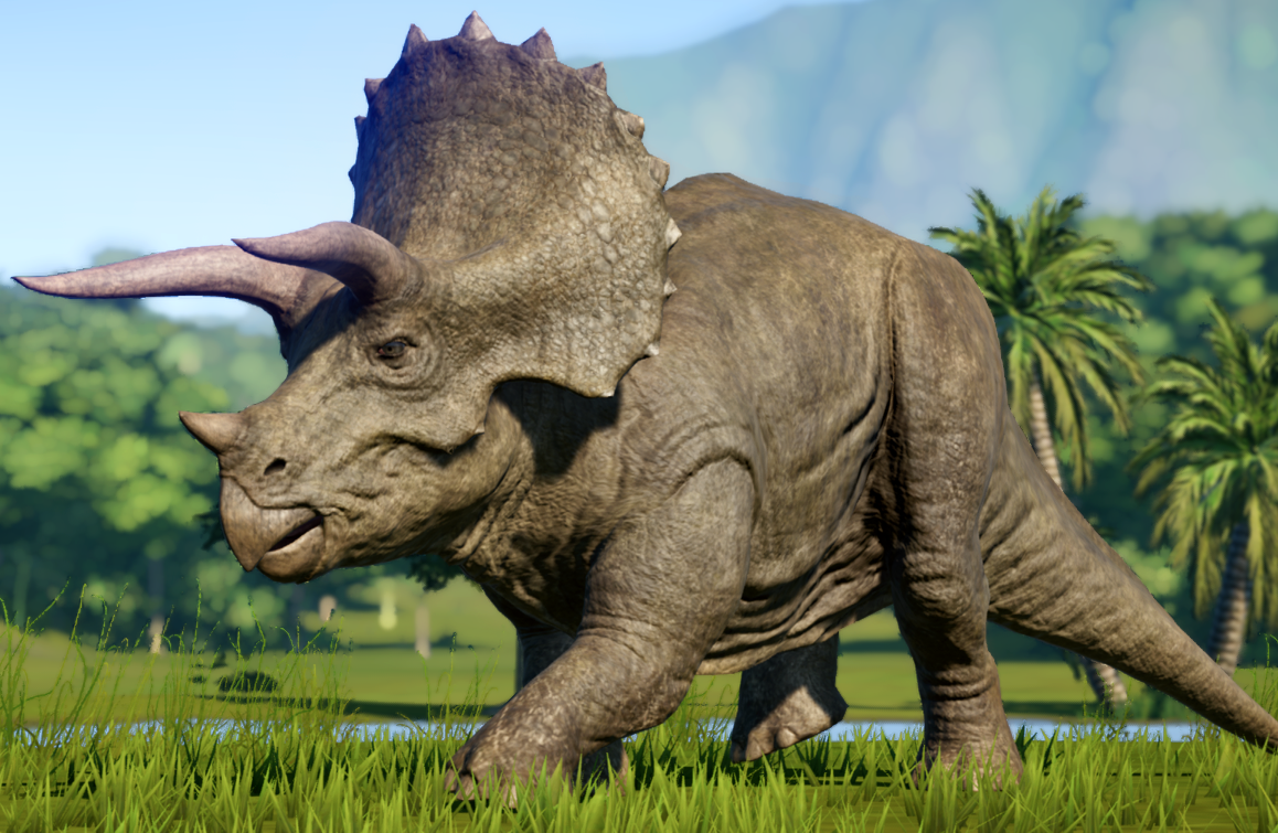 Triceratops