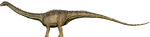 Diplodocus