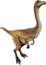 Gallimimus