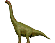 Brachiosaurus (B)