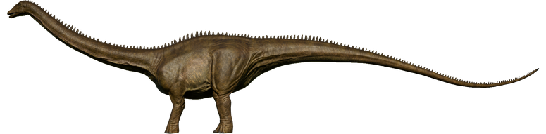 Diplodocus