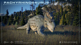 Pachyrhinosaurus