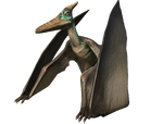 Pteranodon