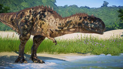 Rh98bt08eeb41.jpg (1.05 MB)