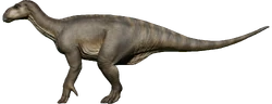 IguaNull