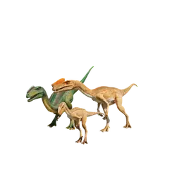 Database (Evolution 3)