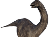 Apatosaurus