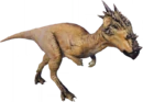 Dracorex