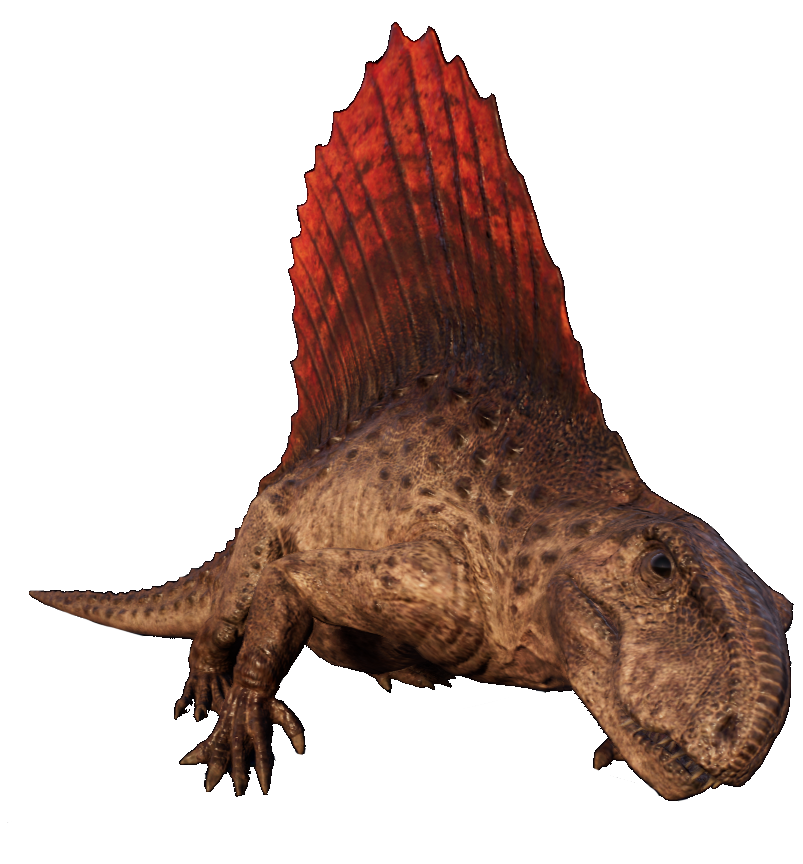 Dinosaurs Dimetrodon