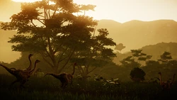 Image0.png (2.81 MB)