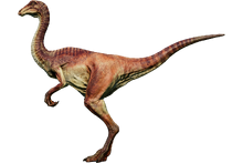 Gallimimus