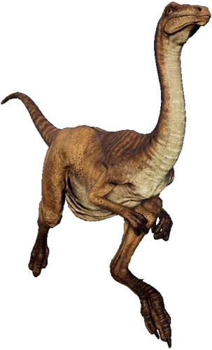 gallimimus