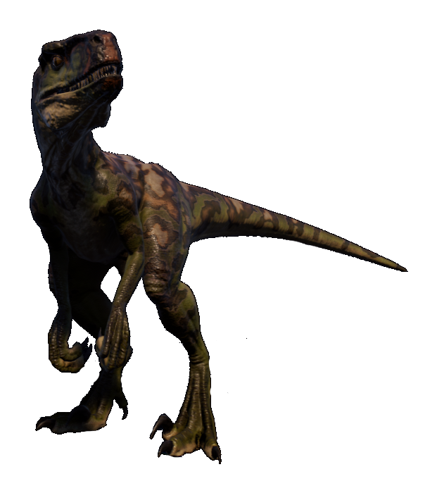 Dimorphodon, Jurassic Park Wiki