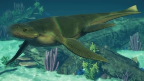 Plesiosaurus JWE2