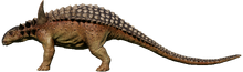 Sauropelta