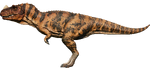 Ceratosaurus