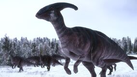 Parasaur-in-snow