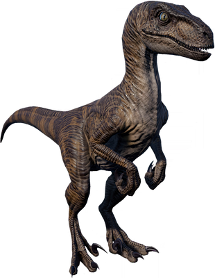 Velociraptor | Jurassic World Evolution Wiki | Fandom