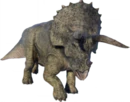Triceratops