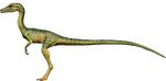 Compsognathus