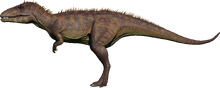 Carcharodontosaurus