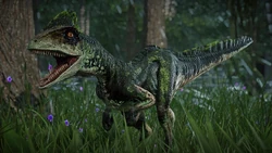 Fozozyv1gt851.jpg (284 KB)