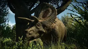 JWE2-Toro