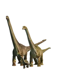 Database (Evolution 3)