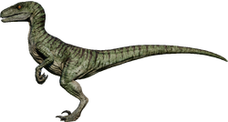 Raptor — Wikipédia