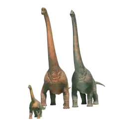 Database (Evolution 3)