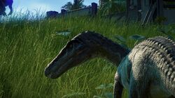 Bary2Exuberant.jpg (709 KB)