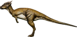 Dracorex