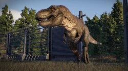 TRex JWE2.jpg (336 KB)