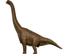 Brachiosaurus (C)