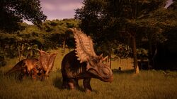 ChasmoJynn.jpg (647 KB)