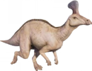Tsintaosaurus