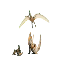 Database (Evolution 3)