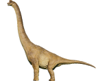 Brachiosaurus (B)