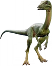 Compsognathus