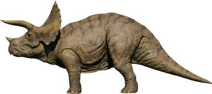 Triceratops