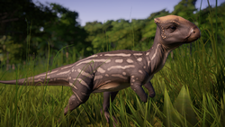 35bgmeg9io441.png (3.82 MB)